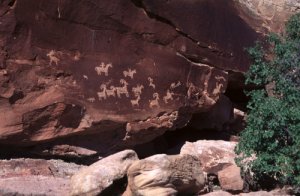 Sheep Rock Petroglyph